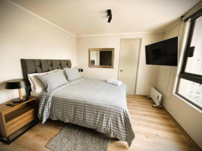 HOM I Nuevo y Acogedor Studio en Calle Marin Santiago